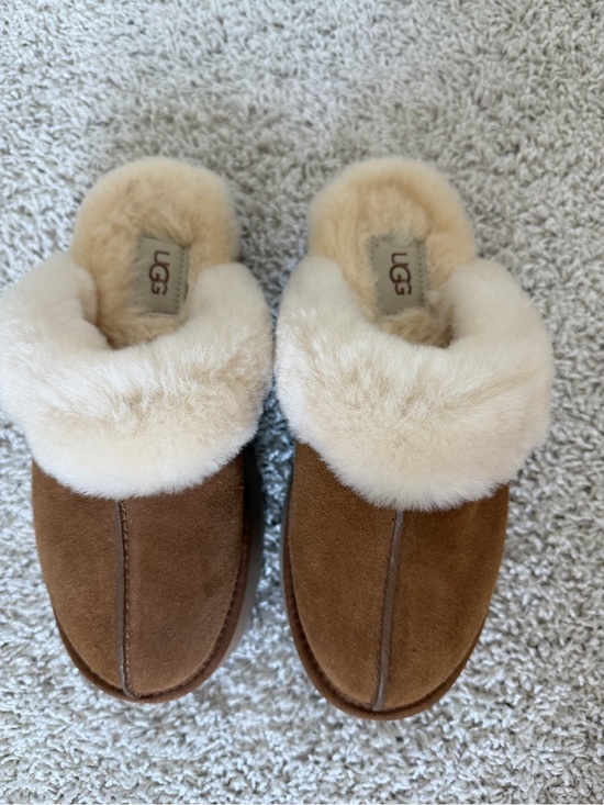UGG Shoes - UGG Chestnut Suede Sheepskin Clog Slippers with Cream Collar